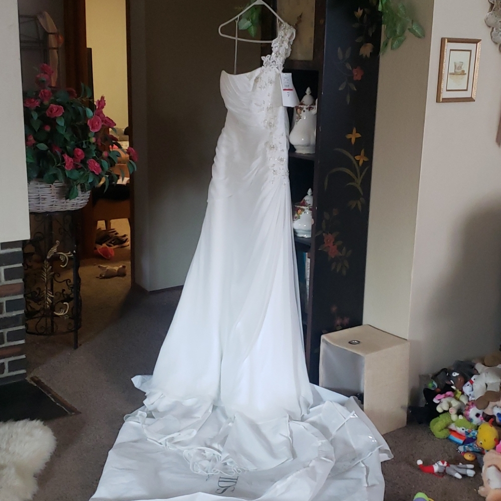 David's Bridal Wedding Dress